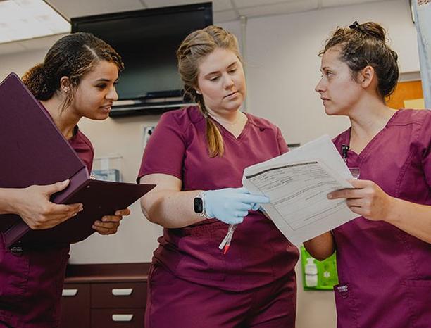 WCC is proud to announce that 100 percent of 2023 护理 Program graduates have passed the NCLEX (RN) exam for the Virginia Board of 护理. The NCLEX recently changed to a more rigorous test, and WCC nursing faculty spent two years preparing for these changes. 

Congratulations to these nursing students and faculty! 

Wytheville Community College 
在这里开始. 成为一名护士. 

#beginherebecomeanything